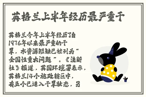 噜啊噜 在线观看 免费